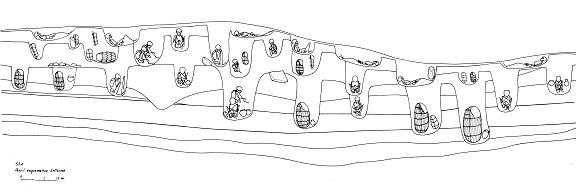 Perfil Esquematico de Entierros Completa Sketch of Inca mummy bundles discovered at Inca battle cemetary from 1536. Contact your Peru travel agent to learn more.