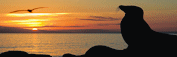 Galapagos Islands Cruise 4 days - 3 nights