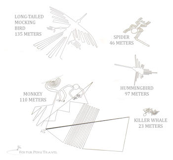 nazca_lines_in_meters