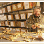 Archaeologist Guillermo Cock
