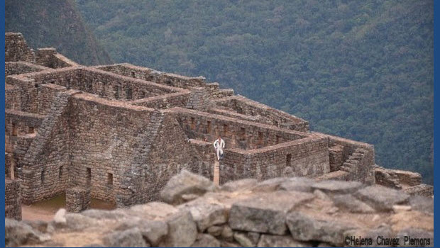 Elvis spotted at Machu Picchu!