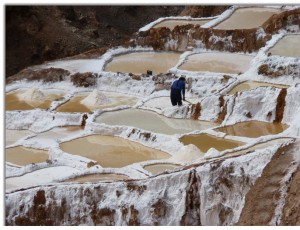 Moray salt mines