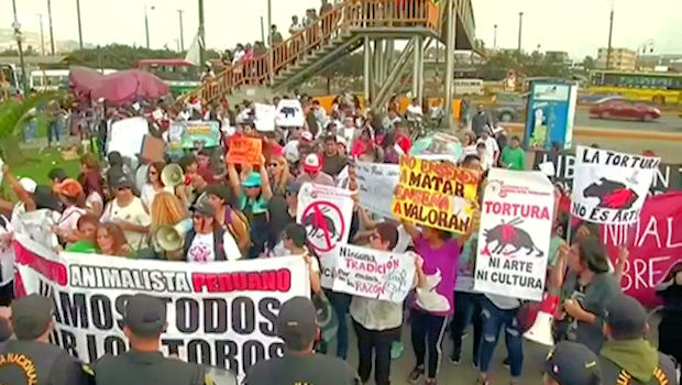 Anti-bullfighting activists in Lima demand an end to the traditional blood sport