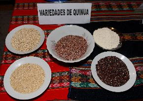 Varieties of quinoa -- Agencia Andina