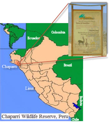 Chaparri Reserve, in the Tumbes region of Lambayeque, Peru