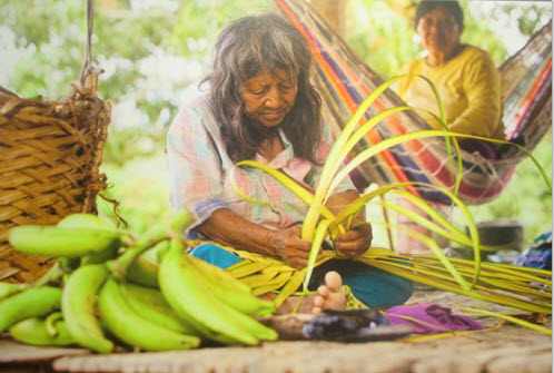 Traditional customs in the Amazon rain forest - weaving