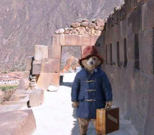 Paddington Bear’s Peru Tour includes COP20 appearance