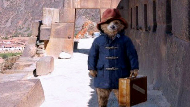 Paddington Bear’s Peru Tour includes COP20 appearance