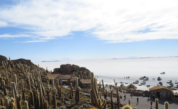 Situated in the middle of Salar de Uyuni, the Isla Incahuasi is an cactus oasis with amazing panoramic views of the Bolivian altiplano. 