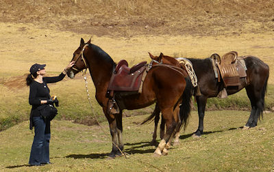 Horseback Riding Sacred Valley: Image of woman with two horses