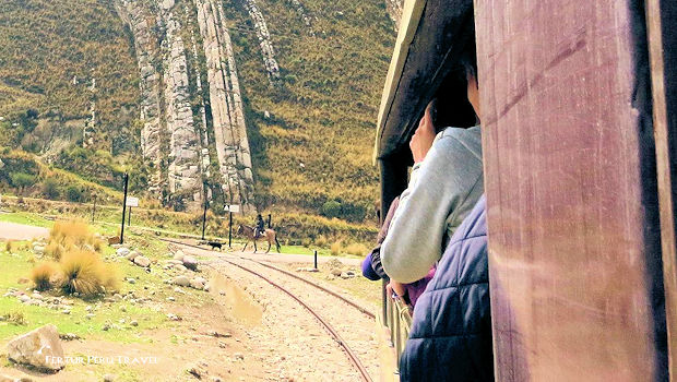 A local man on horseback crosses the tracks with his dog as the Central Andean Railroad train passes - A photographer's dream shot