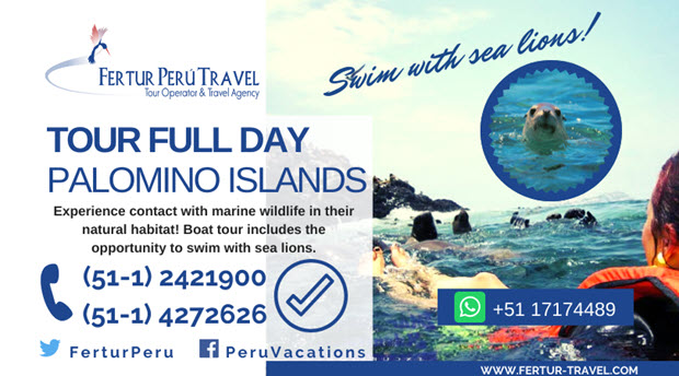 Swim with Sea Lions in Peru: Palomino Island Boat Tour