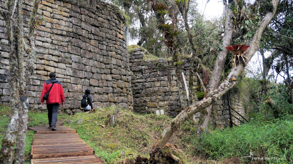 Exploring Kuelap Fortress — Walking the Cloud Forest Citadel, Amazonas Peru | Peru Travel Blog Two visitors walking along a wooden boardwalk path toward the towering stone walls of Kuelap fortress, surrounded by cloud forest trees, moss, and bromeliads in the Amazonas region of northern Peru.