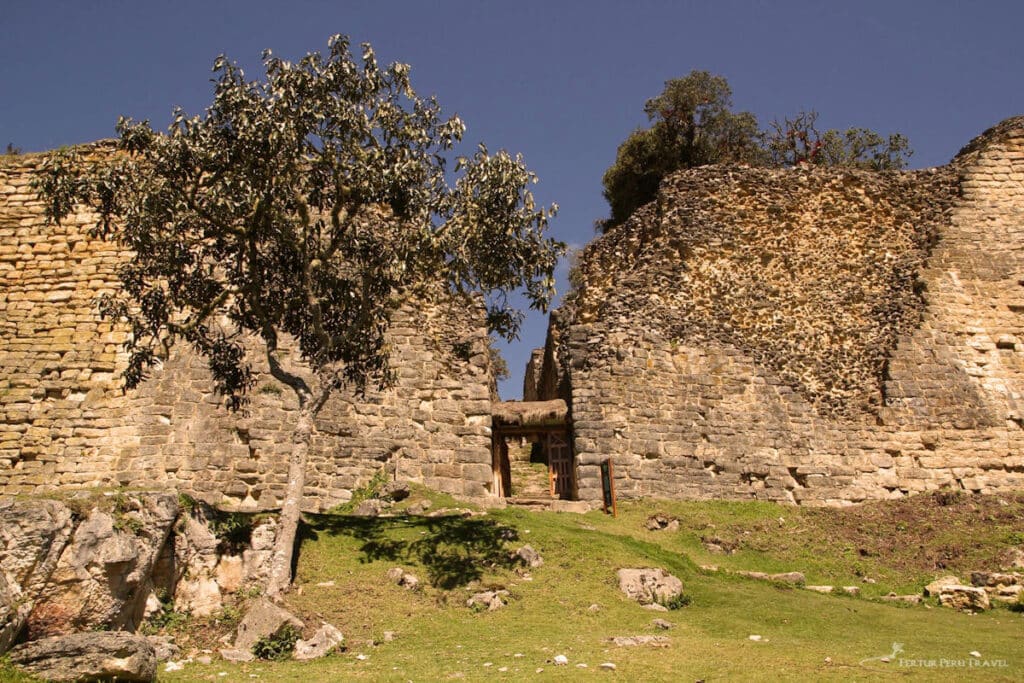 Kuelap Fortress Main Entrance Portal — Chachapoya Gateway, Amazonas Peru | Peru Travel Blog Chachapoyas travel guide: The main entrance portal of Kuelap fortress, a narrow trapezoidal stone gateway set into the massive perimeter walls of the Chachapoya citadel, with a thatched wooden door, flanking trees, and green grass in the foreground under a deep blue sky, Amazonas, Peru.