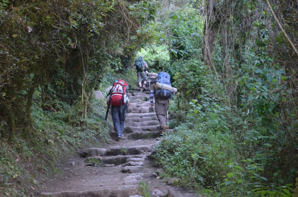 Three Hikers Ascending the Inca Trail Stone Steps — Cloud Forest, Cusco Peru | Peru Travel Blog Three hikers with large trekking backpacks and trekking poles ascending ancient Inca stone steps through dense cloud forest vegetation on the classic Inca Trail to Machu Picchu, Cusco, Peru.