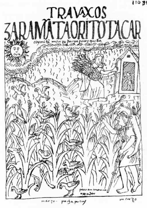 Guaman Poma de Ayala Chronicle Illustration | March Agricultural Scene | Peru Travel Blog A pen-and-ink illustration from Felipe Guaman Poma de Ayala's 1615 chronicle depicting Andean agricultural workers guarding maize crops from birds during the month of March, titled "Travaxos Zaraña Taoritotacar" with the sun and rain visible above c. 1615