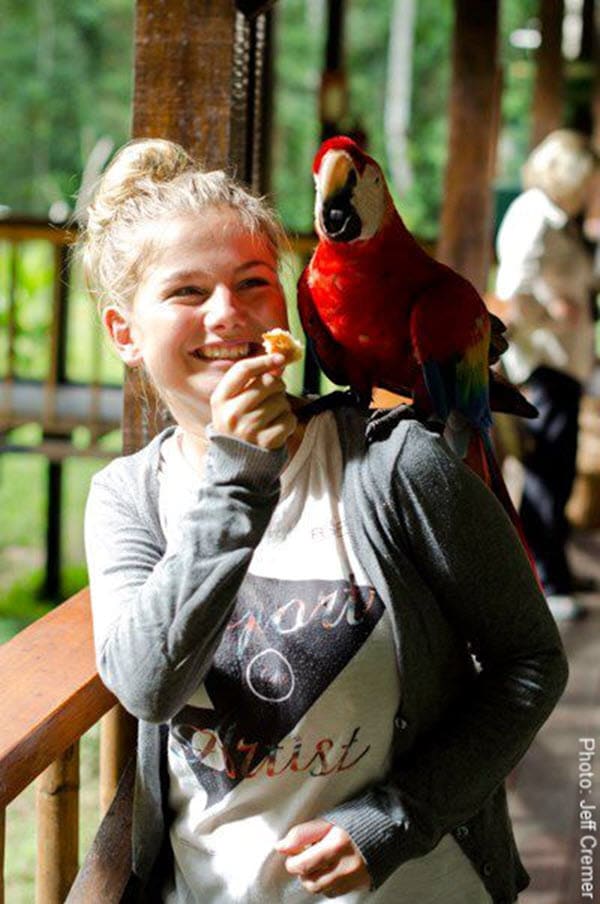Meet a Scarlet Macaw in Tambopata | Amazon Wildlife Peru | Peru Travel Blog From scarlet macaws to howler monkeys, Tambopata is a dream destination for families. Discover kid-friendly Amazon wildlife experiences at Refugio Amazonas. Photo: Jeff Cremer