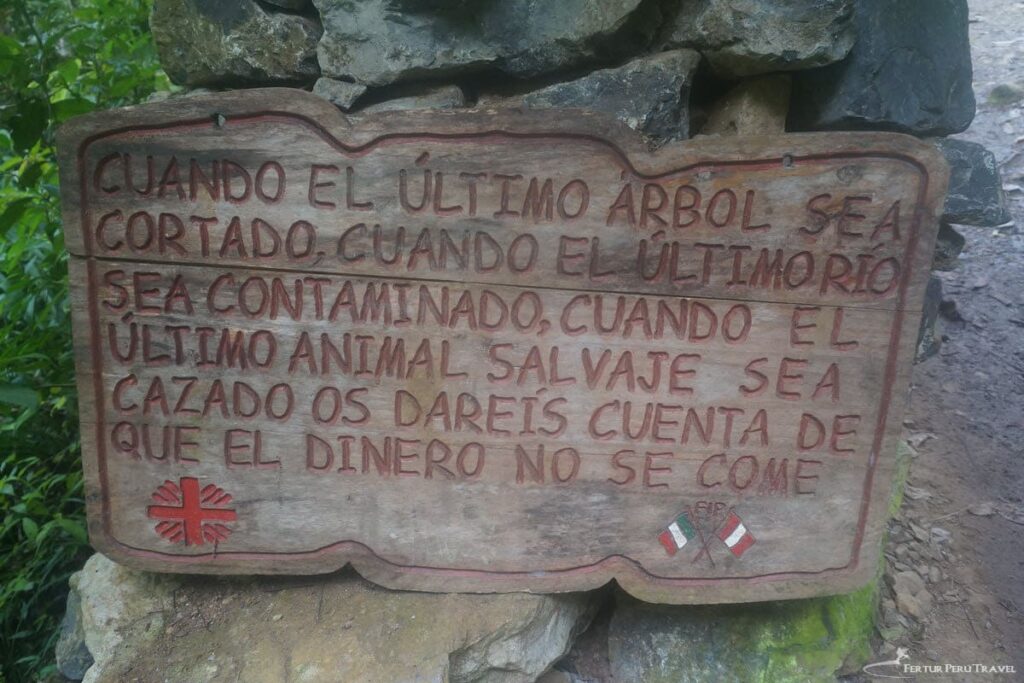 Signage along the trail to Gocta Falls | Peru Travel Blog Carved wooden sign on the jungle trail to Gocta Falls with Spanish environmental quote:'Cuando el último árbol sea cortado... dinero no se come' with green plants nearby and small flags at bottom left and right.