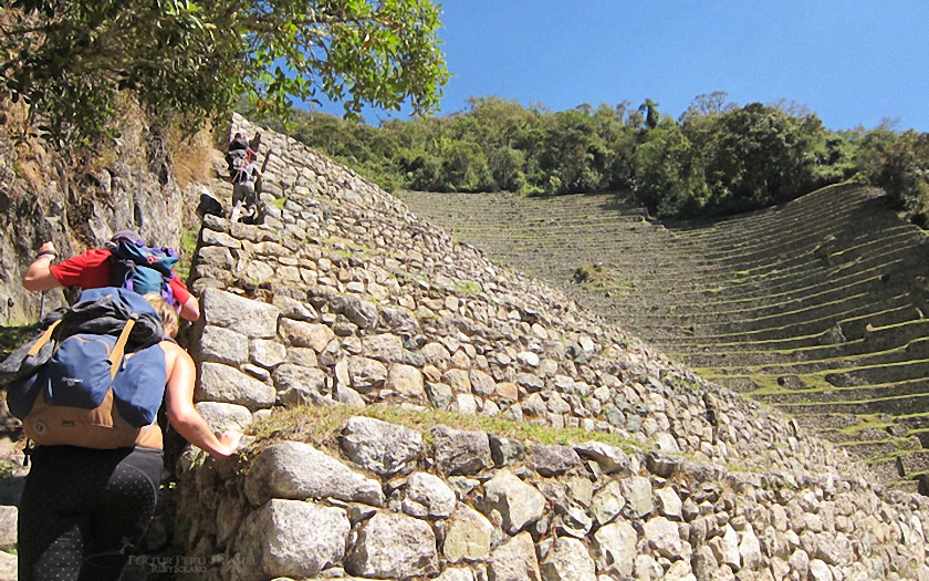 Hikers on the Inca Trail trek ascending the stone steps of Wiñay Wayna on their way to Mach Picchu.
