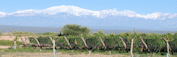 Foto de campiñas de Mendoza en Argentina