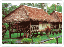 Albergues en Iquitos - Bungalows en lodges de Iquitos