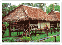 Tours a Iquitos desde Lima con Fertur Perú Travel