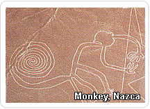 One of the most iconic of the Nazca lines etched into the desert plateau is the 93-meter wide Monkey. 