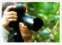 Travel photography: Get a close-up view of the abundance of life in Tambopata in this unique photo tour program