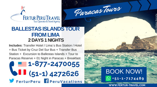Ballestas Islands Tour From Lima: 2 Days 1 Night