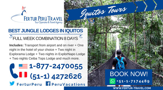 Best Jungle Lodges in Iquitos: Full Week Combination 8 Days