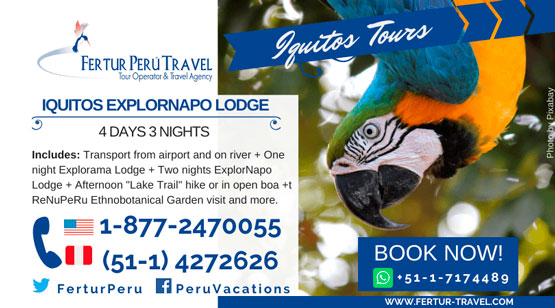 Explornapo Lodge Iquitos 4 Days by Fertur Peru Travel