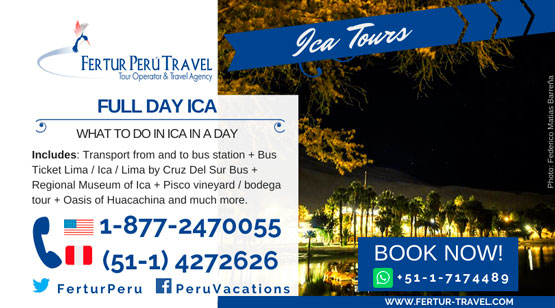 Full Day Ica by Fertur Peru Travel