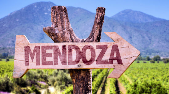 Mendoza Wine Camp