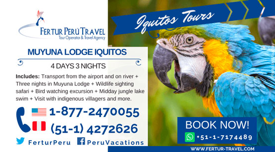 Muyuna Lodge Iquitos 4 Days By Fertur Peru Travel