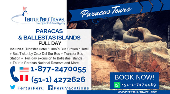 Paracas Full Day Tour with Ballestas Islands