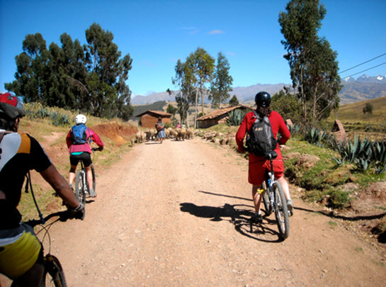 Peru Mountain Bike Tour - Fertur Peru Travel