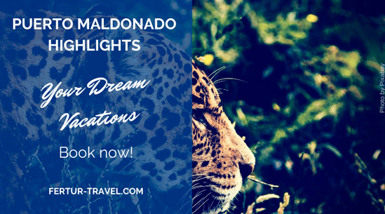 Puerto Maldonado Highlights: Best Lodges & Wildlife Safari