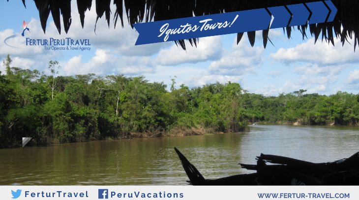Sinchicuy Lodge Peru - Image Amazon River