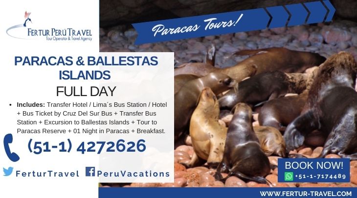 Ballestas Islands Tour From Lima: 2 Days 1 Night