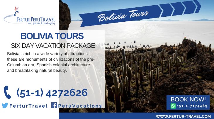 Bolivia 6-day tour package featuring Isla Incahuasi and Uyuni with Fertur Peru Travel