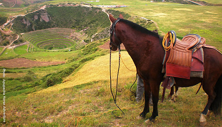 Horseback riding tours in Cusco with Fertur Peru Travel