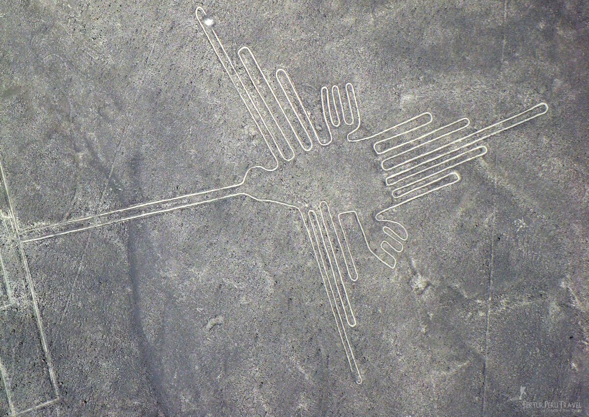 Interested in flying over the world-renowned Nazca Lines? 