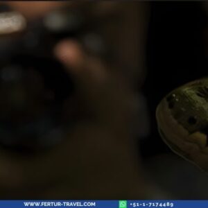 Tambopata Photography Tour