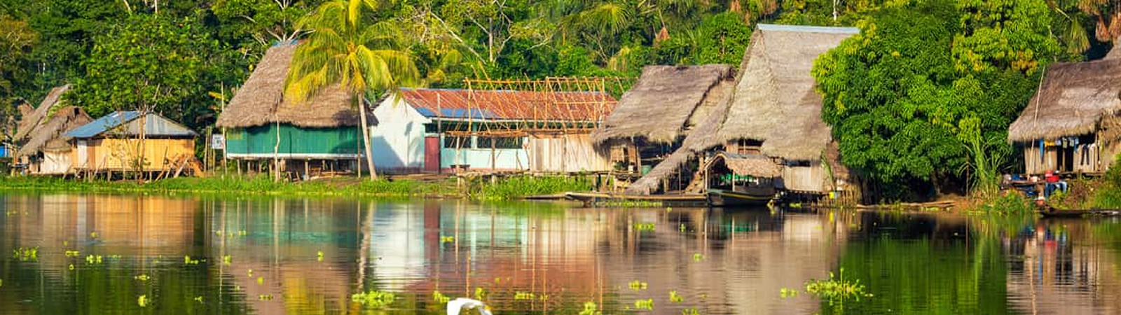 Sinchicuy Lodge Perú: Tour de 3 días por la selva amazónica. ¡Reserva ya!