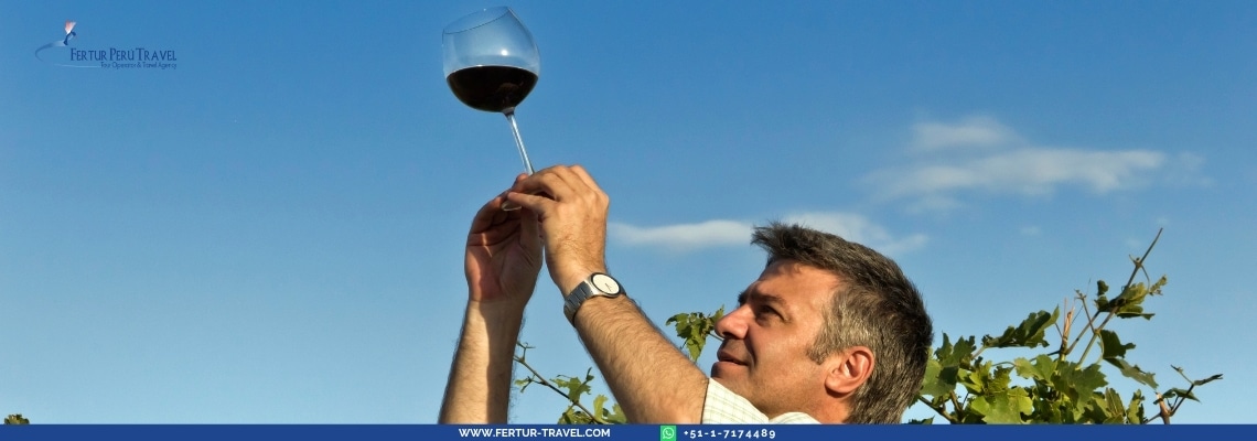 Mendoza Wine Tours Argentina 4 Days 3 Nights: Winery visits, Malbec tastings, Aconcagua Peak excursions, Inca Bridge, river rafting, hiking | Complete wine country experience in the Andes foothills.