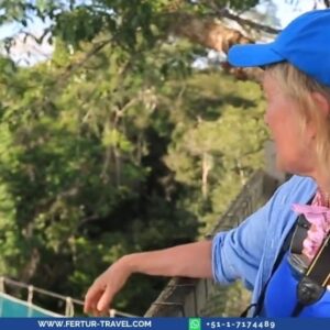 Best jungle lodges in Iquitos, Peru: Experience the Amazon rainforest with canopy walkways, wildlife viewing, and authentic jungle adventures. Explore top-rated eco-lodges in the Peruvian Amazon.