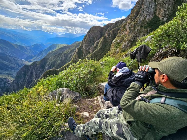 Observador de aves en un tour privado de avistamiento de aves en Cusco.
