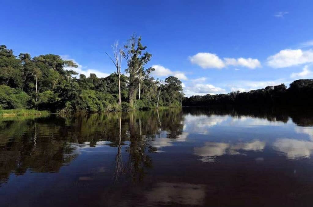 A sweeping bend in the Manu River surrounded by dense Amazon rainforest in the Manu National Reserve, Peru