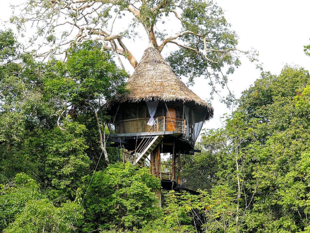 Elevated treehouse jungle lodge with a thatched palm roof and wooden balcony, built high above the Amazon rainforest canopy near the Pacaya Samiria National Reserve, Loreto, Peru.